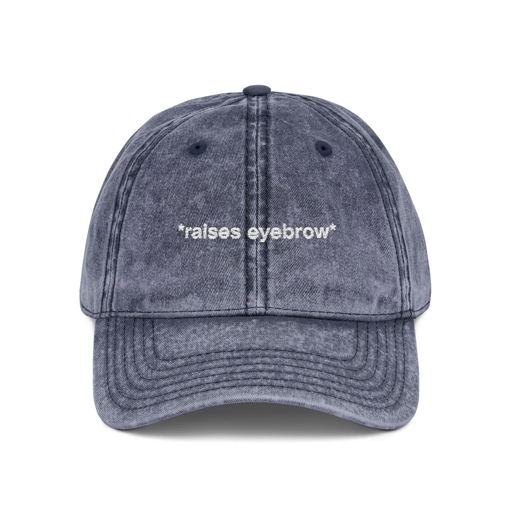 *raises eyebrow* - Vintage Dad Hat
