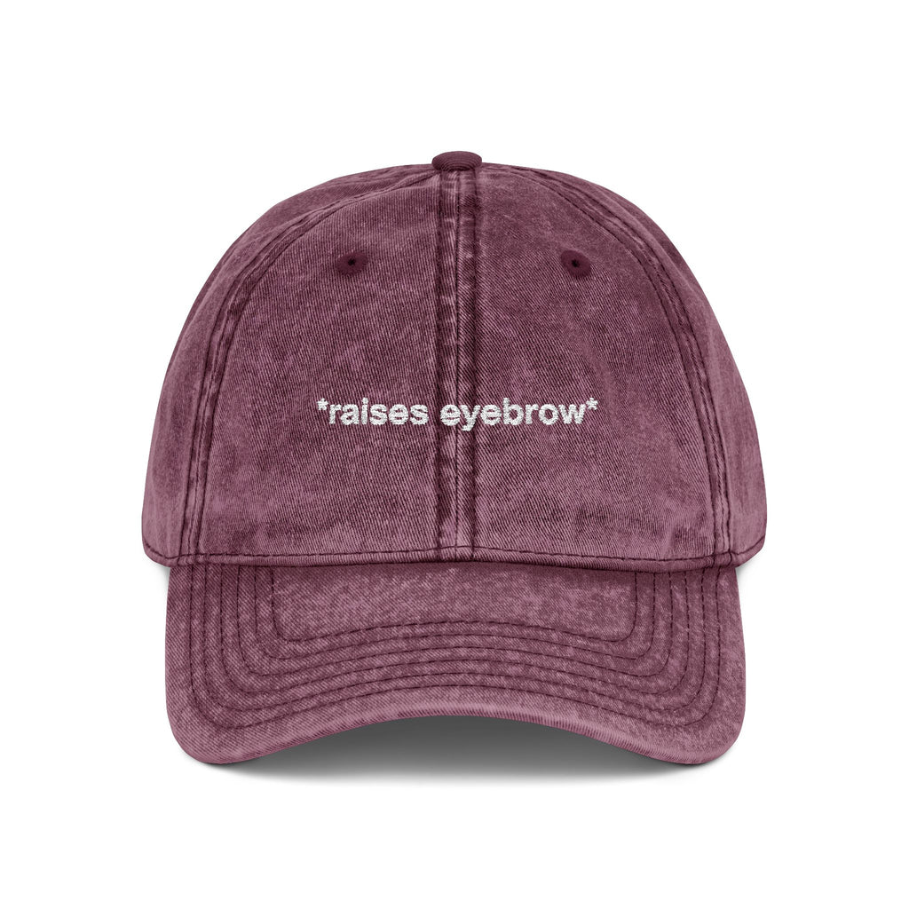 *raises eyebrow* - Vintage Dad Hat