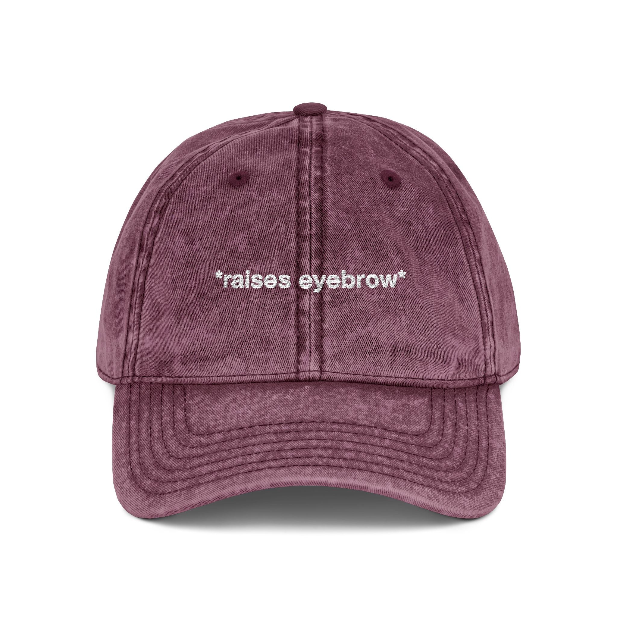 *raises eyebrow* - Vintage Dad Hat